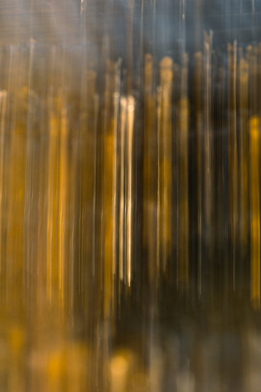 abstract nature photo: * Boundaries between objects blur, leaving behind a mesmerising dance of light and shadow.