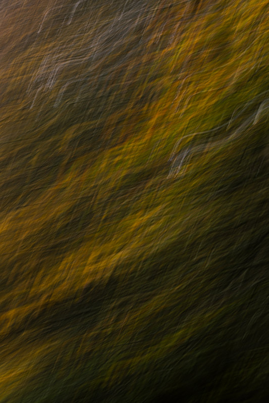 abstract nature photo: Long exposure techniques transform familiar landscapes into ethereal tapestries of lines in this series of abstract photographs.